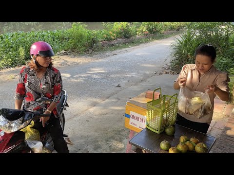 Video Đi Chợ Trà Cuôn Về Nấu Bánh Canh Tép Nước Cốt Dừa |... - youtube