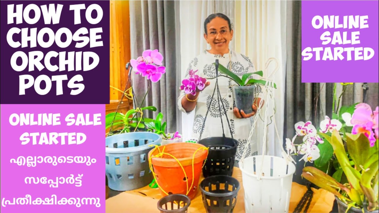 HOW TO CHOOSE ORCHID SALE STARTEDBEST POTS FOR ORCHIDS
