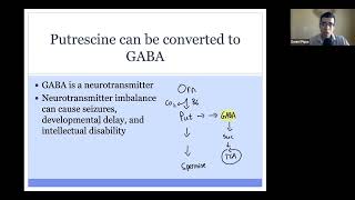 Disorders of Polyamine Synthesis (Snyder-Robinson & Ornithine decarboxylase superactivity)