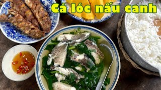 Ví dầu CÁ LÓC NẤU CANH, cơm nhà má nấu ngọt lành nhớ thương | Đặc sản miền sông nước