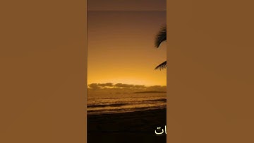 سورة النبأ بصوت القارئ عبد الكريم السليماني #المصحف #nature #اكسبلور #voiceeffects #beautiful#love.