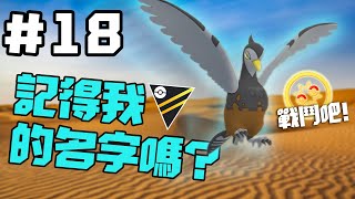 你能不看影片就說出這隻冷門寶可夢的名字嗎? Pokemon GO PvP 對戰聯盟 高級聯盟 紀念盃 GBL 第三賽季 #18 (普)