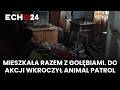 Mieszkała razem z gołębiami. Do akcji wkroczył Animal Patrol