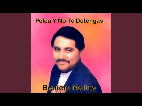 Pelea y No Te Detengas