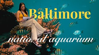 National Aquarium Baltimore Review | Is It Worth Visiting