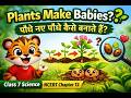 पौधों में अलैंगिक प्रजनन | कक्षा 7 विज्ञान | NCERT अध्याय 12 | Curious Cub