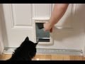 Diy Swinging Cat Door