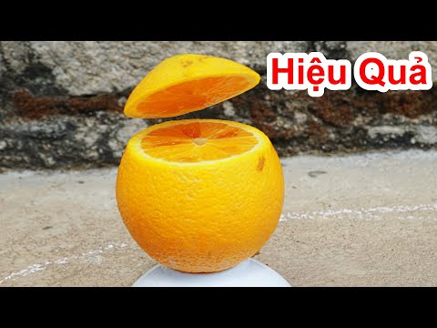 Nếu Ai Bị Ho Lâu Ngày ,Ho Khan,Ho Có Đờm Ngứa Cổ Thì Thì Theo Cách Này Đảm Bảo Sẽ Hiệu Quả | Foci