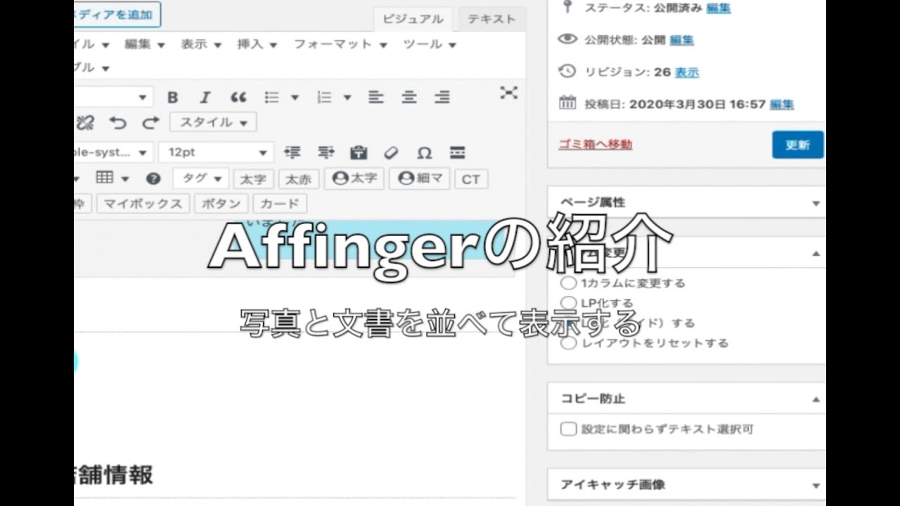 徹底比較 Affinger5とtcdを比べてみた プロから見た両者のテーマを徹底分析 杉並区のパソコンスクール Curiostation荻窪店 永福町店