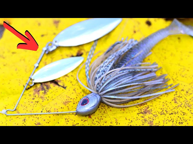 DON'T Miss The FALL Spinnerbait BITE Happening NOW 