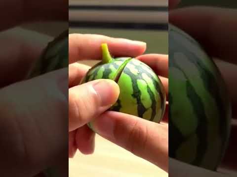 I Ate The Worlds Smallest Watermelon!