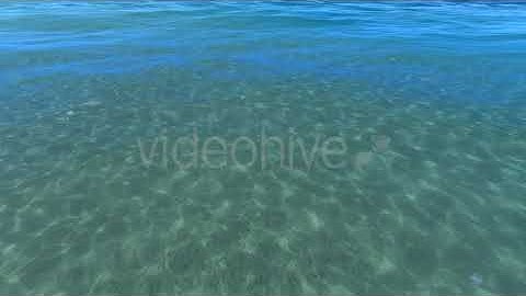 Sea Coast Clear Water | Motion Graphics - Envato elements