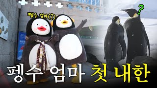 펭수 어머니 최초 공개합니다 [EP.324](ENG)