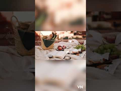 أجمل ما غنى محمد حماقي من البداية