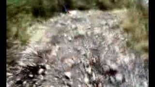 Motos 4 Viana do Castelo - trialeira