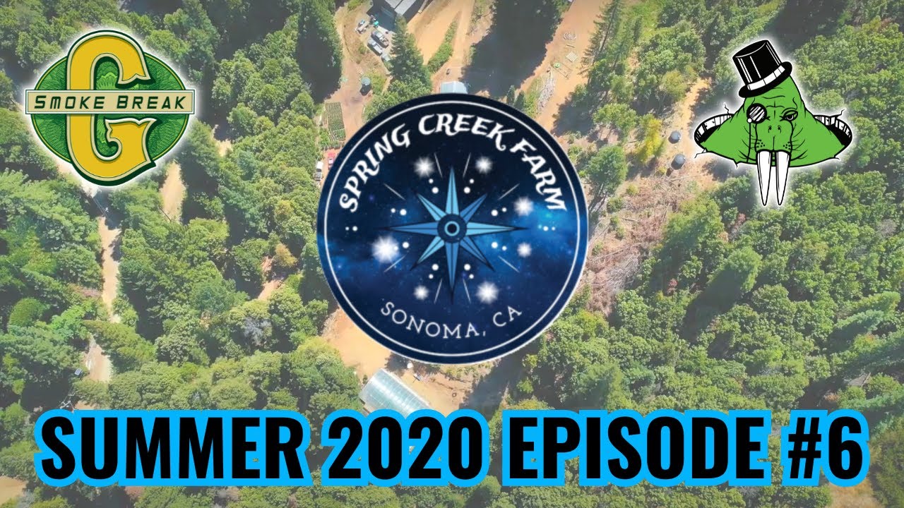 Spring Creek Farm Summer 2020 Episode #6. Cazadero, Sonoma County USA.