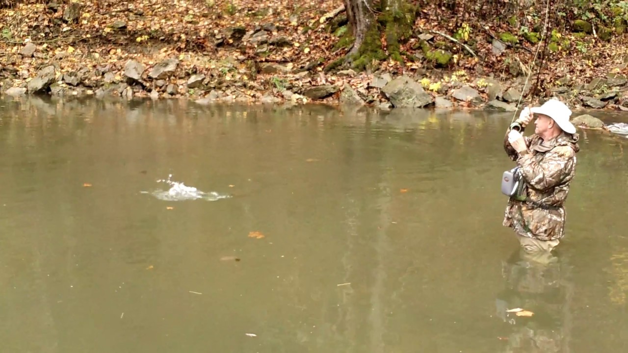 Boone North Carolina Fly Fishing YouTube