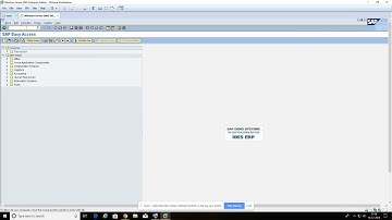 Find Sap created package name