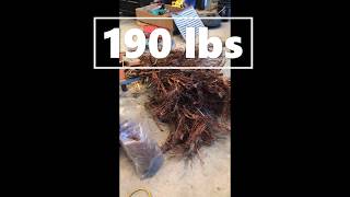 500 KW generator teardown and scrapping:  Part TROIS - Copper recovery