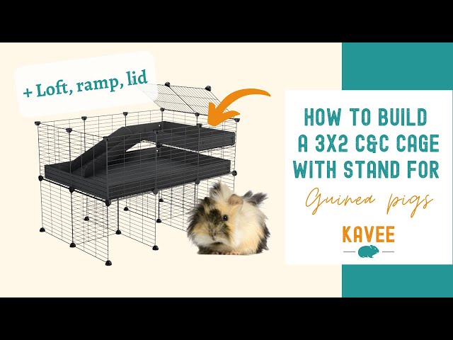 Spacious 3x2 Candc Guinea Pig Cage With Stand Safe 