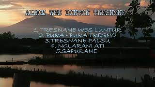Lagu Bahasa Jawa Tresnanne wis Luntur