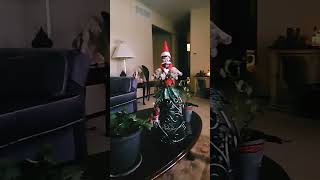 i have one? sike i have five p. s. i might be getting a baby elf so excited