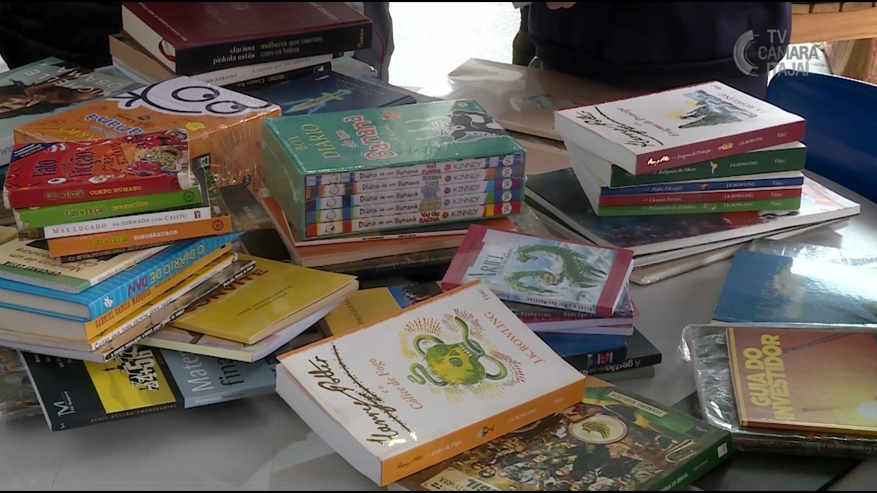 Escola municipal recebe doação de livros de servidores do Legislativo