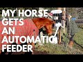 Automatic Feeder For My Horse! QuickFeed Install