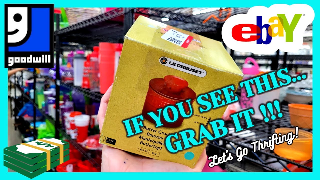 $100 HIDING on the TOP SHELF at GOODWILL / THRIFT WITH ME / My GERMAN ...