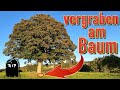 GRUSELIGER FUND liegt VERGRABEN am alten BAUM (Das wollten wir nicht mit dem Metalldetektor finden)