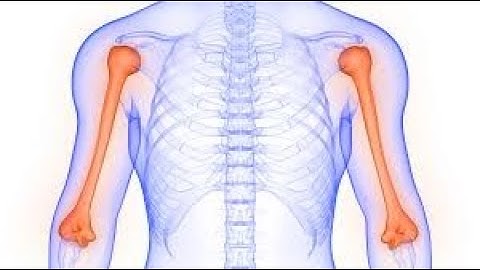 Cpt code for Closed treatment of humeral fracture manipulation - simplify medical coding