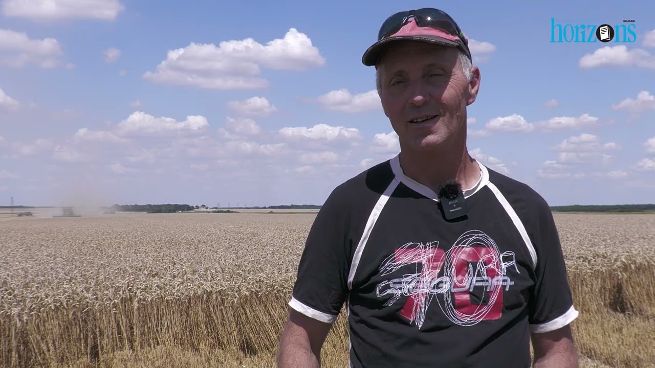 Démonstration de la moissonneuse-batteuse Ideal 8 Massey-Ferguson