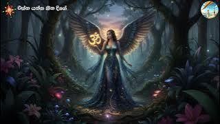 ඔයාගේ ජීවිතය ඔයා හිතුවාටත් වඩා ලස්සන වෙන්නයි යන්නේ.. ඔයා වාසනාවන්තයි ඔයාට මේ වීඩියෝ එක ලැබෙනවාමයි