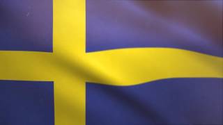 Sweden Flag Waving Animated Using Mir Plug In After Effects  Free Motion Graphics