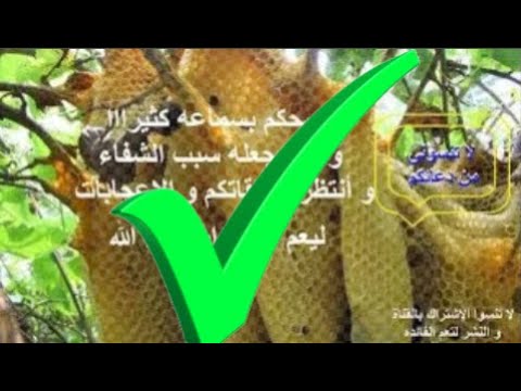 77 كشف كل مختبىء و الشفاء من الحسد القديم من الانس والجن و الشياطين ناموا عليها جلسه مميزه جدااا