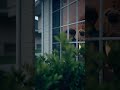 Why Me? - Part 17/25 #Shorts
