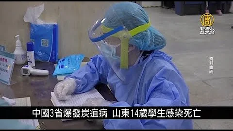 中國3省爆發炭疽病 山東14歲學生感染死亡｜中國一分鐘 - 天天要聞