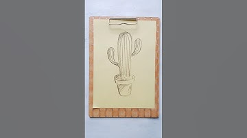 Sketch Cactus. #howtodraw #cactus #plants #sketch #drawing #tutorial #drawingtutorial #illustration