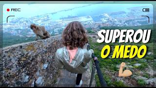 GILBRALTAR   SUPERANDO o ESTRESSE com os MACACOS AGRESSIVOS #1237