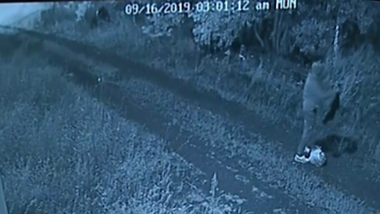 newspaper mockup Police seek 2 persons of interest in connection with Florida boy's missing parents