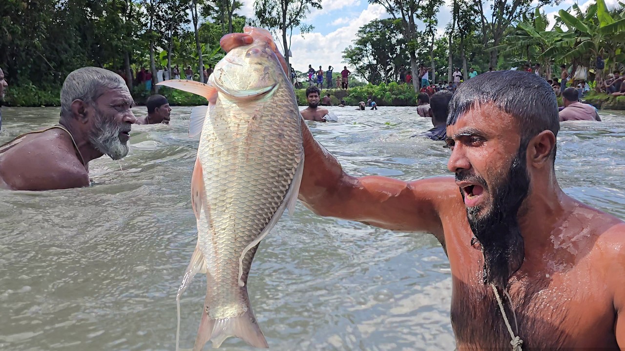 প্রাচীন পদ্ধতিতে সব দানবীয় মাছ ধরলো শিকারিরা🐟Unbelievable Biggest fishing #viral #fish #india