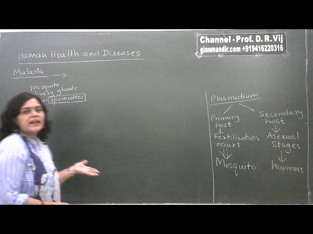 XII Biology - Human Health ans Diseases - Protozoan Diseases: Malaria and Amoebiasis by Geeta Ma'am