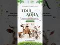 PT Setia Kawan Abadi megucapkan selamat hari raya Idul Adha #maklonjakarta #maklonkosmetik #maklon