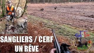 CHASSES AUX CERF et SANGLIERS ! 1 RÊVE 1 TIR !!!