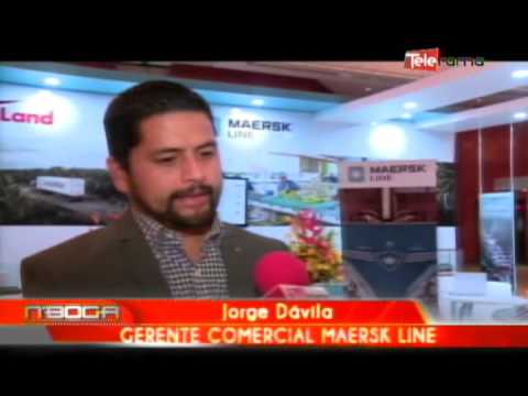 Maesrk Line participa XII foro internacional del Banano 2015