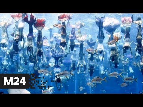 Подводное шоу «русалок» в Китае установило новый рекорд Книги Гиннесса - Москва 24
