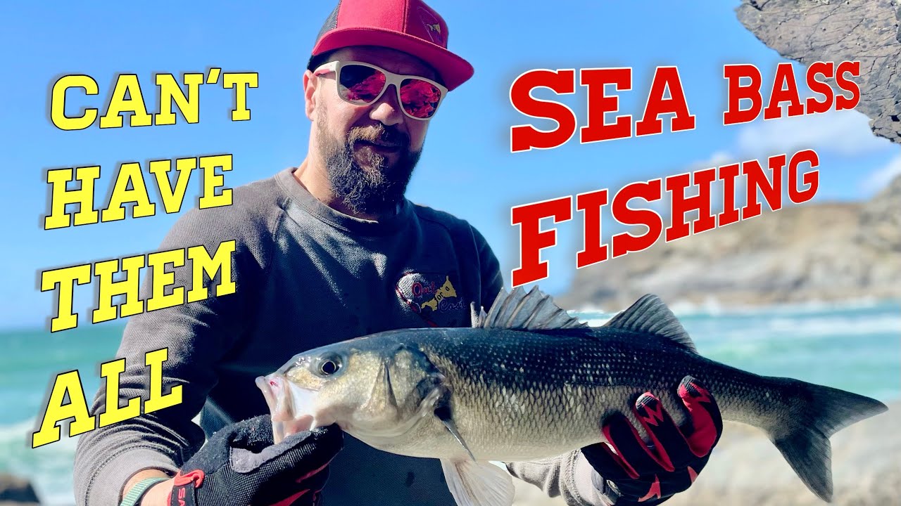 Can’t Have Them All Sea Bass Fishing Cornwall Out For A Cast 