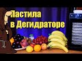 Домашняя Пастила фруктово-ягодная в Дегидраторе RAWMID Modern RMD 10