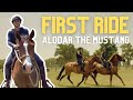 First Ride on Alodar the Mustang