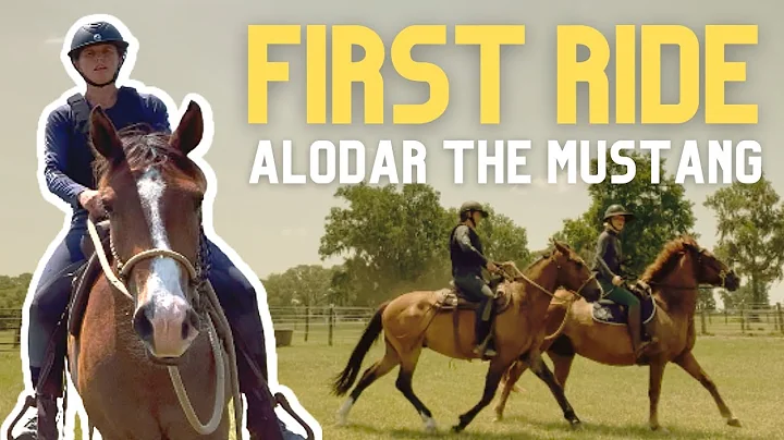 First Ride on Alodar the Mustang